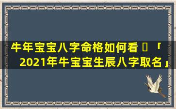 牛年宝宝八字命格如何看 ☘ 「2021年牛宝宝生辰八字取名」